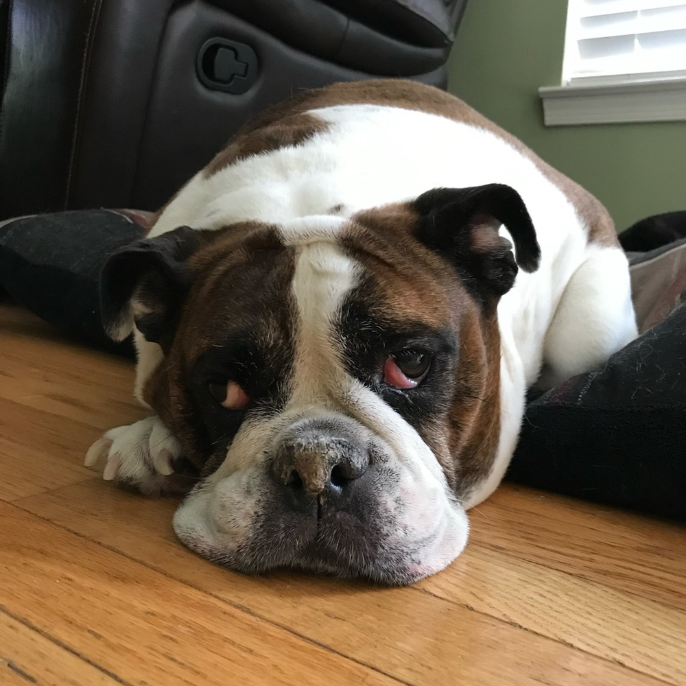 Meet your Posher, Jen